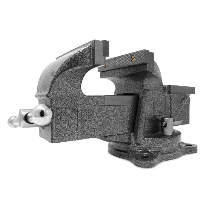 WEN 455BV 5 Inch Heavy Duty Cast Iron Bench Vise With