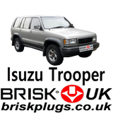 Isuzu Trooper petrol auto gas lpg parts spark plugs Brisk LPG CNG GPL