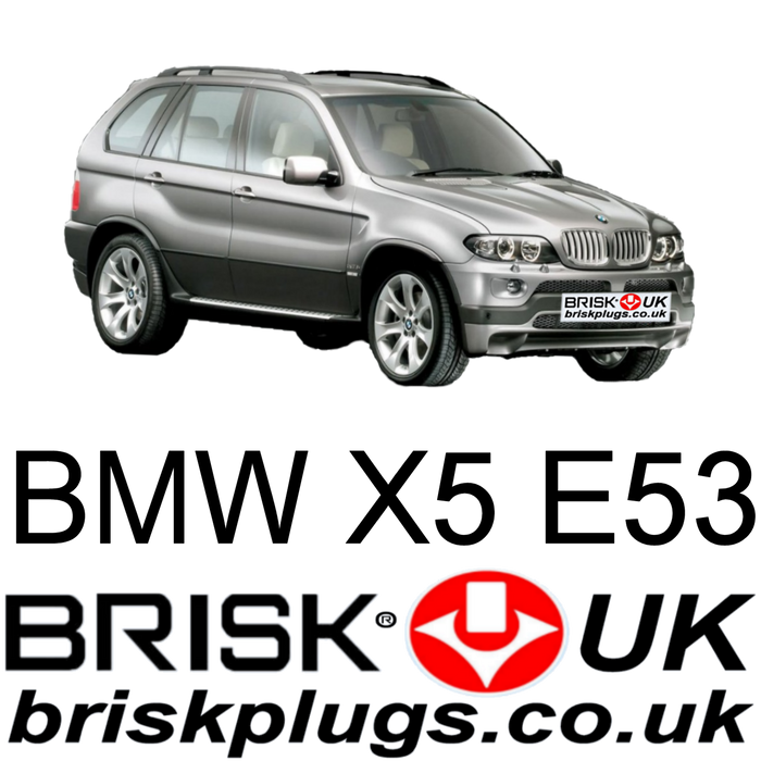 BMW X5 E53 3.0 4.4 4.6 4.8 is Brisk Spark Plugs 0007