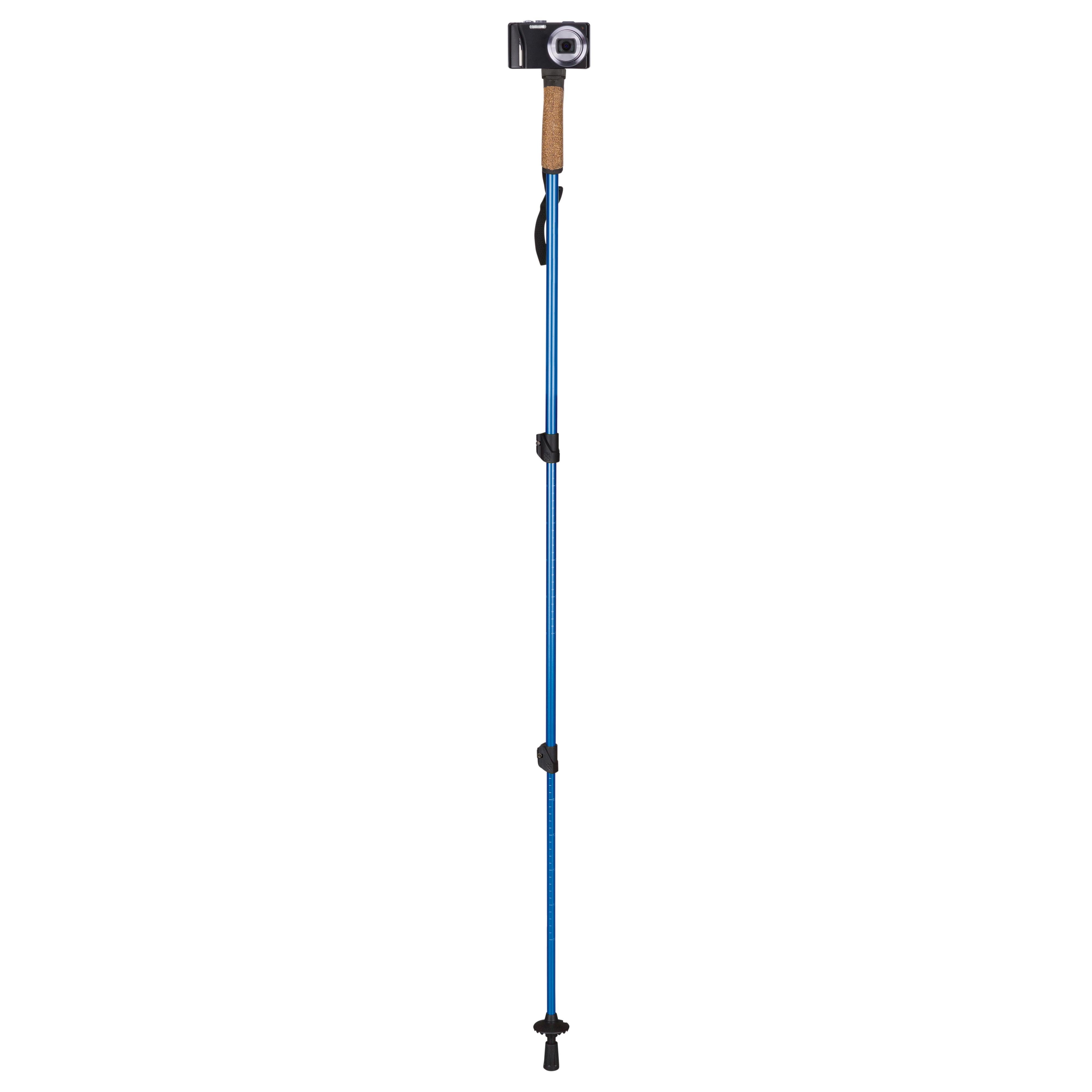 single trekking pole