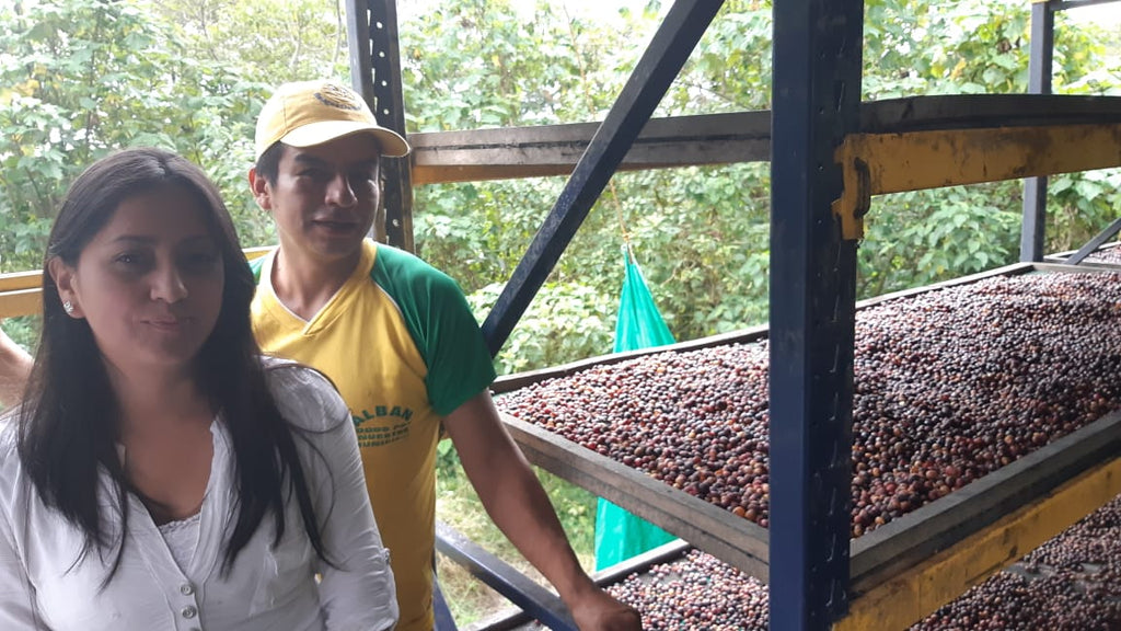 Colombian Coffee Hacienda El Porvenir Red Honey