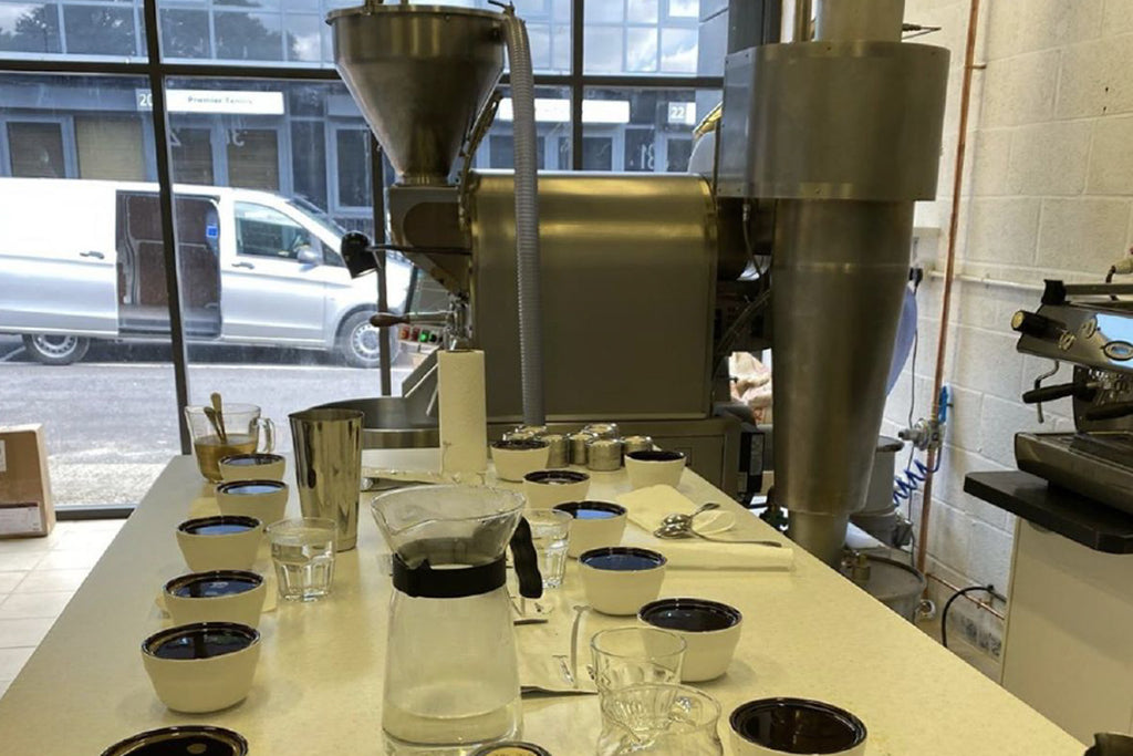 Cupping protocol and quality control