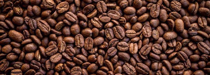 Coffee bean development