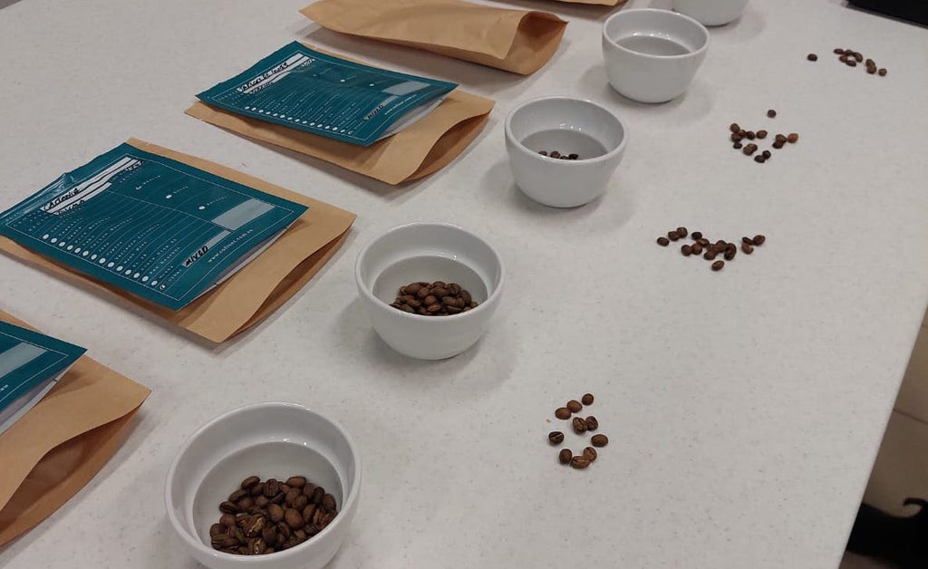 coffee cupping, roasted coffee samples, single origin coffee