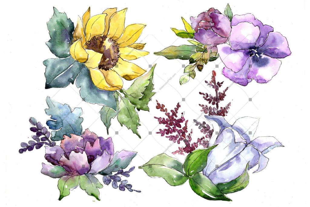 Wildflower bouquets PNG watercolor set – WatercolorPNG