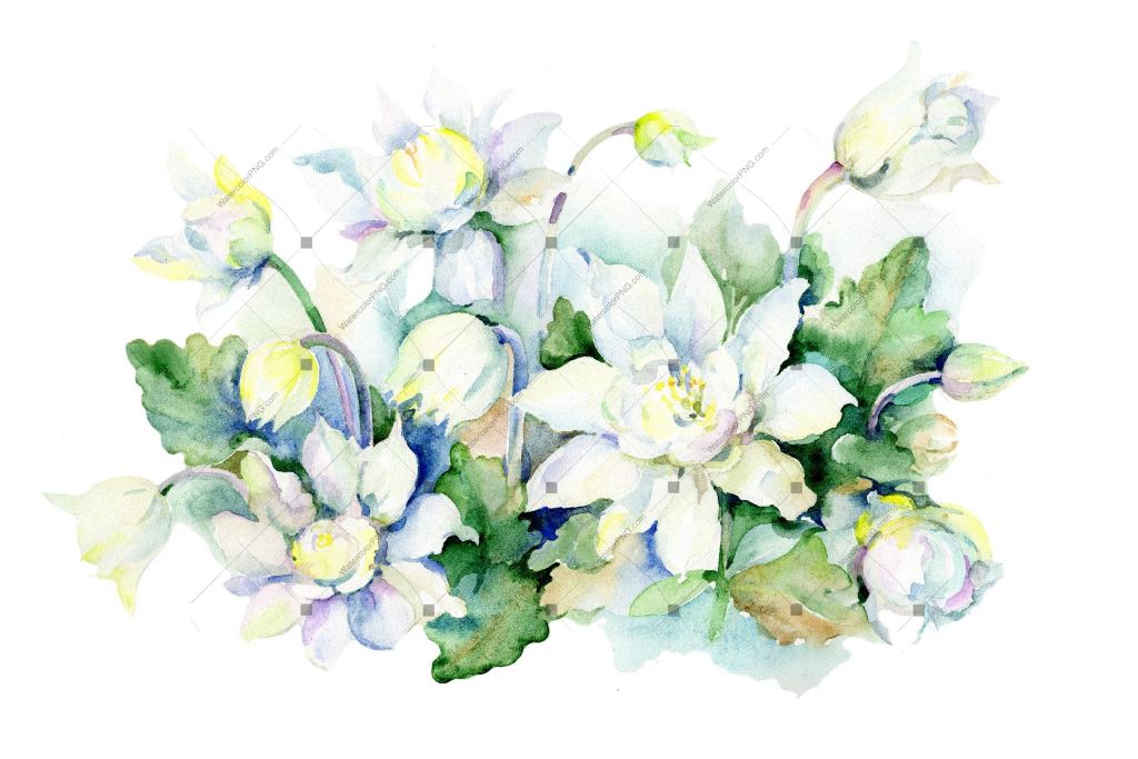 Aquarelle white bouquet PNG watercolor set – WatercolorPNG