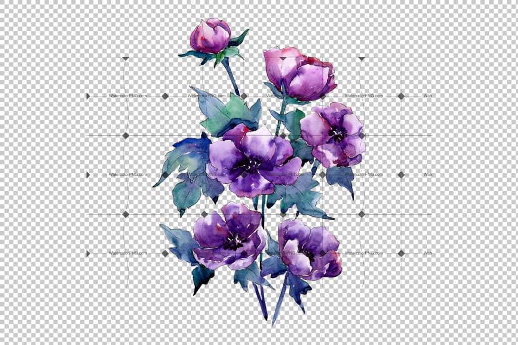 Download WatercolorPNG - Bouquet of purple poppy PNG watercolor set
