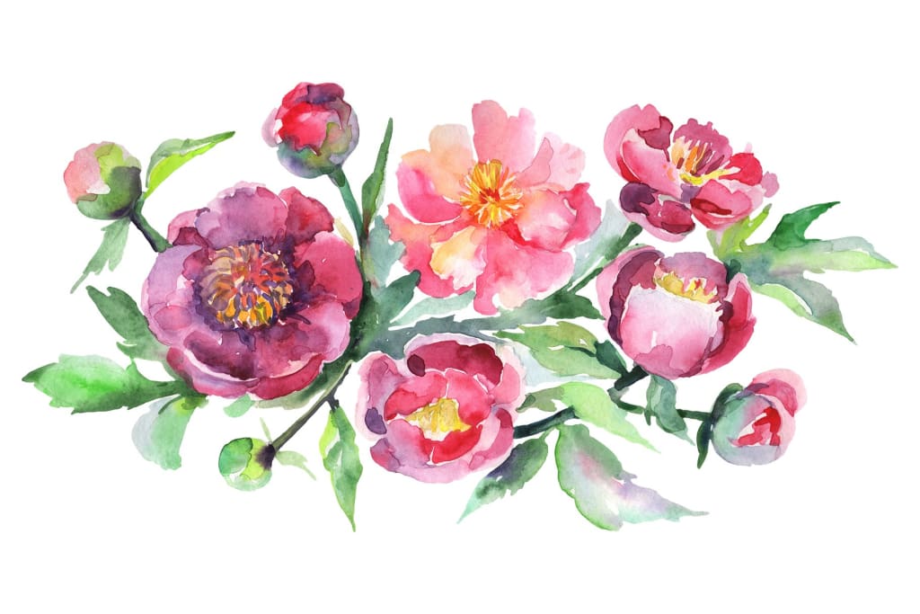 Bouquet with pink peonies Watercolor png – WatercolorPNG