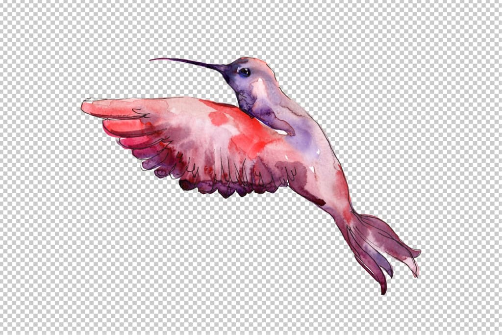 Download Watercolor Hummingbird Svg