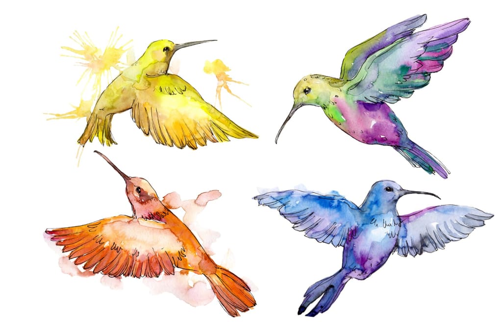 Download Nature world bird hummingbird watercolor png | WatercolorPNG