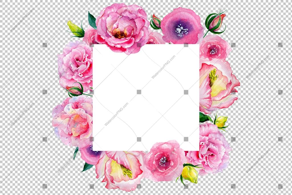 pink rose frame png watercolor flowers watercolorpng pink rose frame png watercolor flowers