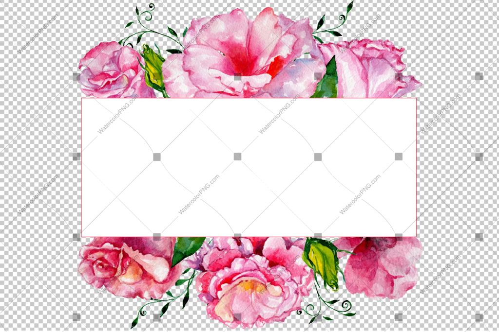 Pink Rose Png Frame Flowers Watercolor Watercolorpng