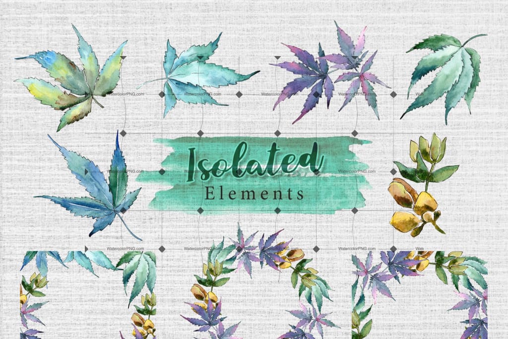 watercolorpng watercolor weed leaves png set watercolorpng watercolor weed leaves png set