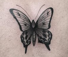 Butterfly Tatoo Chardonnay