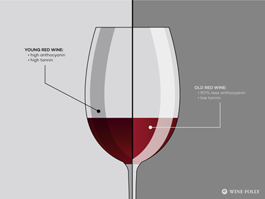 Wine Folly Tested: The Best Red Wine Glasses 