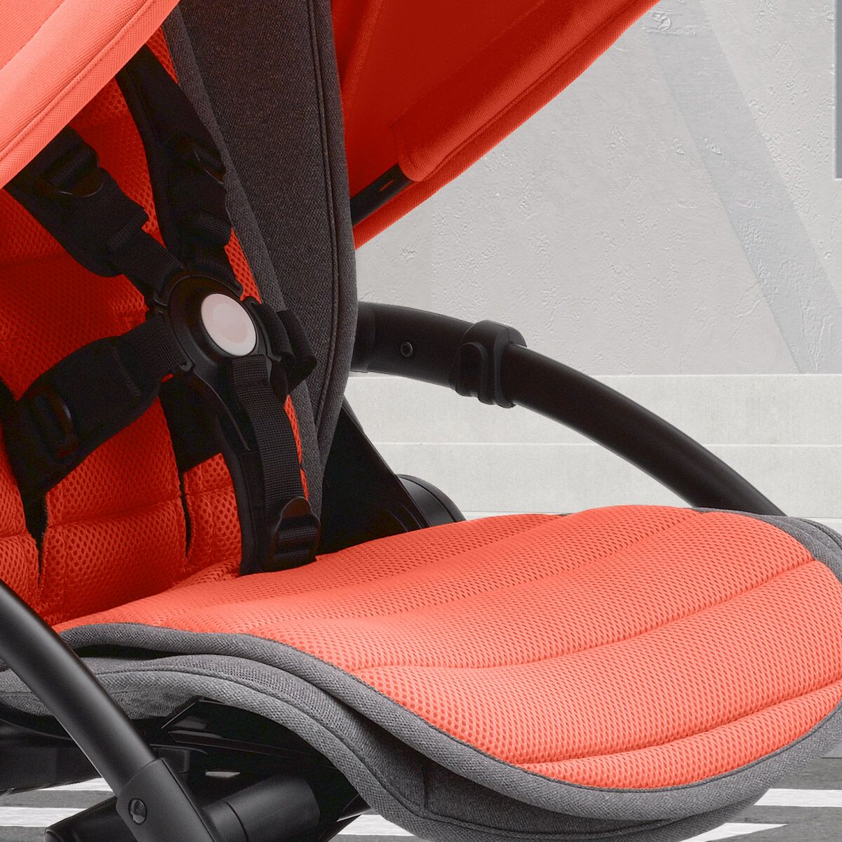 bugaboo 5 point harness