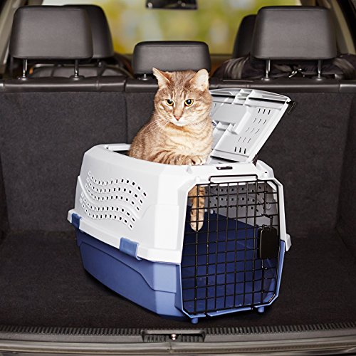 Henkelion Cat, Dog Carrier for Small Medium Cats Puppies up to 15 Lbs, TSA  Airline Approved Carrier Soft Sided, Collapsible Travel Puppy Carrier -  Grey - Yahoo Shopping