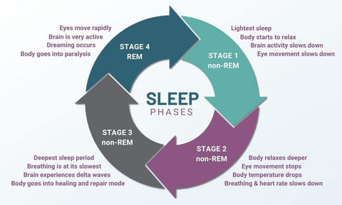 REM-Sleep-Health-And-Wellbeing
