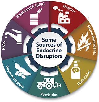 Endocrine-Disrupters