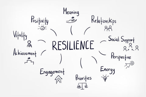 Resilience-For-Life-Development