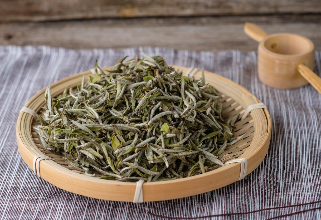 a bowl of dried white tea leaves health benefits white tea silver needle white tea white tea white tea