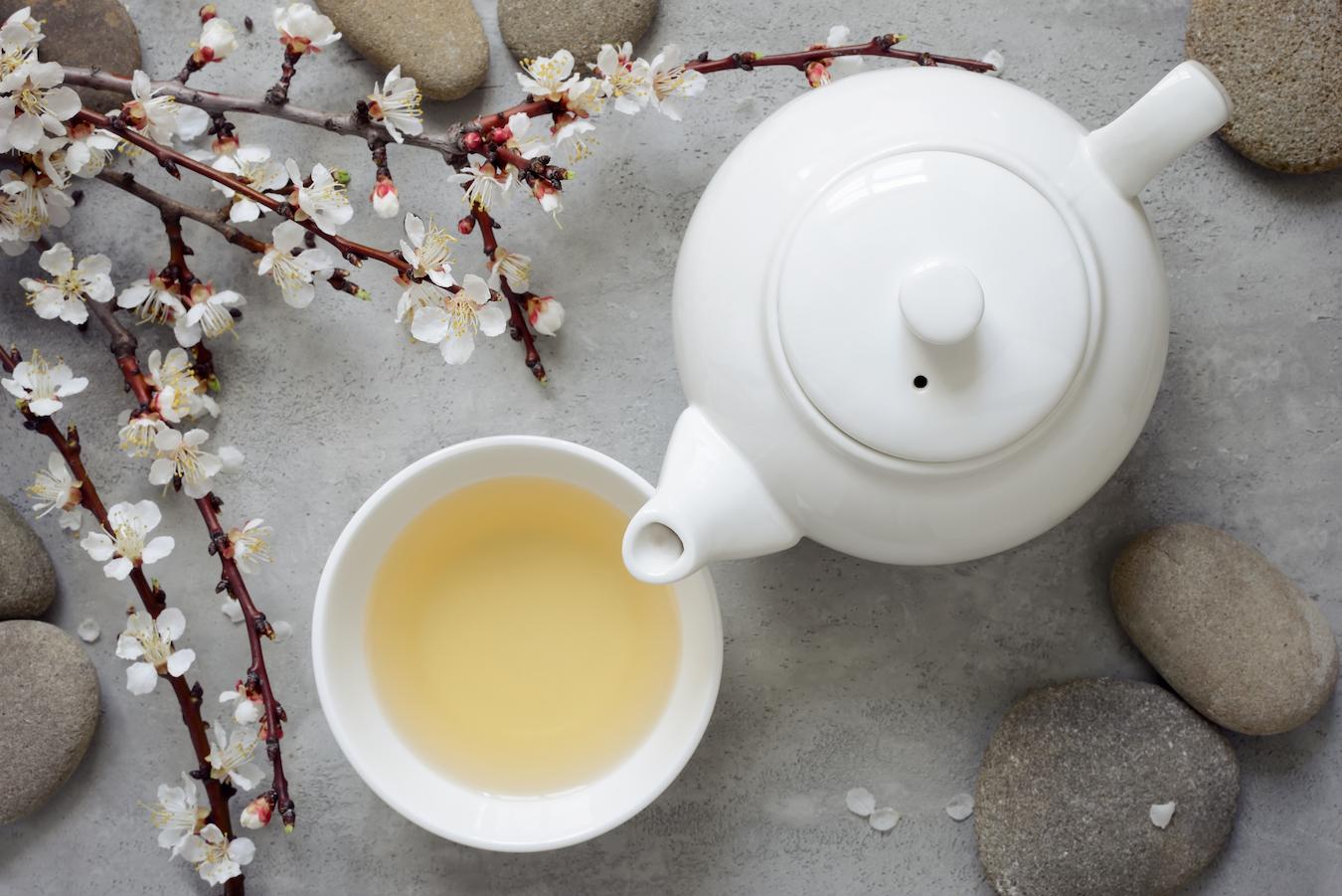 a white tea pot surrounded by white flowers and stones white tea white tea hair growth white peony chronic diseases hair health overall health white tea bag more research