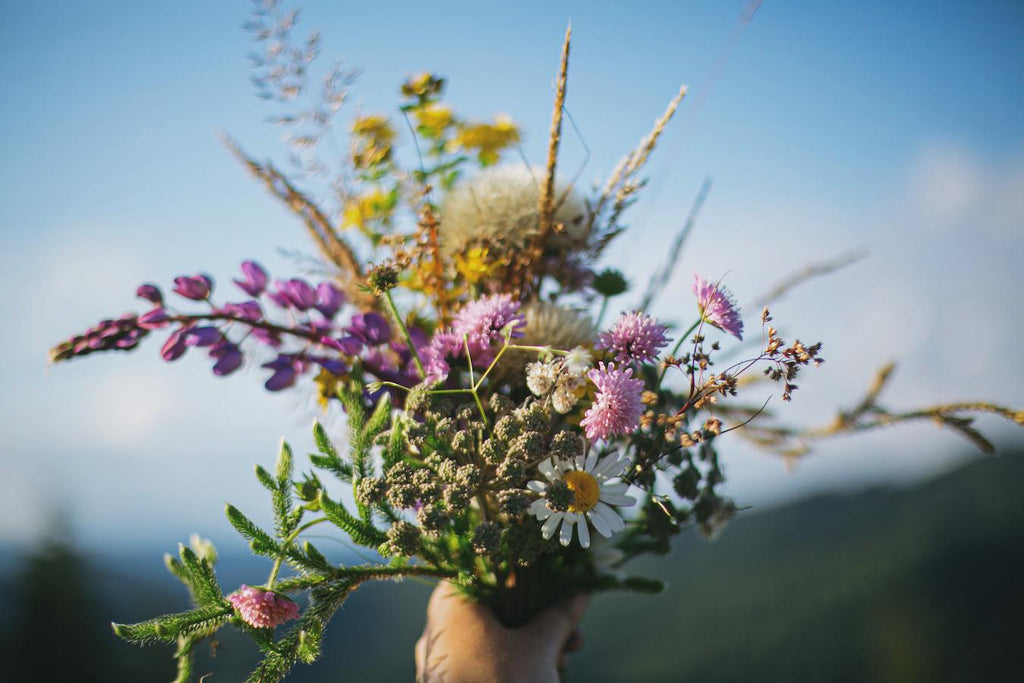 beautiful handful of wildflowers fresh or dried herbs dried herb preserve herbs whole herb dry pantry basil basil lemon balm paper towels essential oils fresh herbs