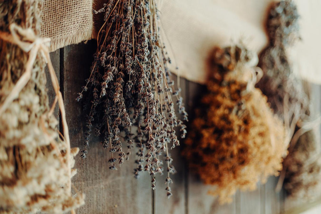 dried herbs hanging from a wooden wall university campus wellness center health care costs national wellness conference chronic disease debunking numerous health fads global wellness industry all these disparate developments wellness tourism own comprehensive models workplace wellness programs