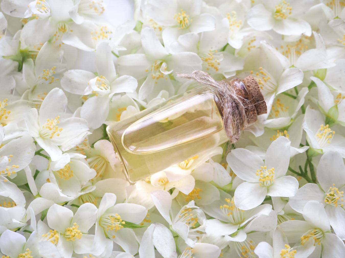 Jasmine oil is good for reducing hair breakage and can improve overall skin condition