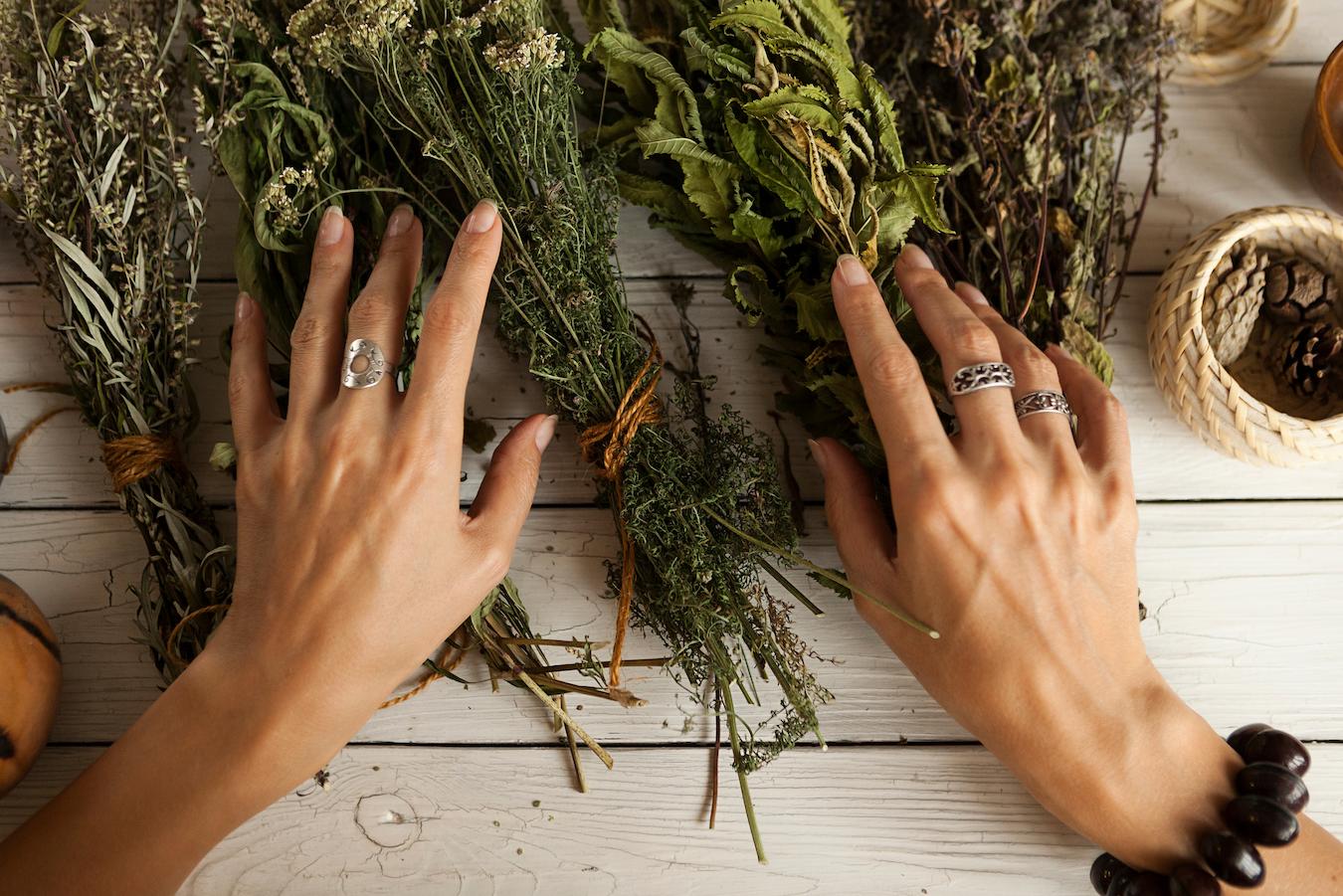 someone holding herbs in their hands immune system lowering blood pressure herbal medicines healing wounds healing plants medicinal herbs healing herbs herbal medicine garden