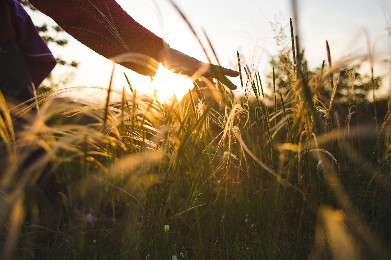 Warmer weather too much sun exposure springtime wellness tips healthy spring springtime wellness tips fitness routine healthy food