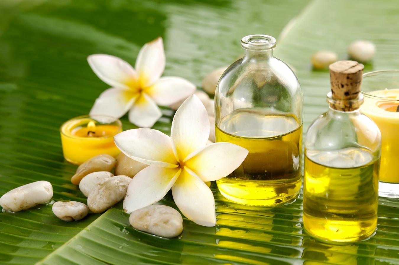 Top 3 Benefits Of Frangipani/Plumeria Oil – JUARA Skincare