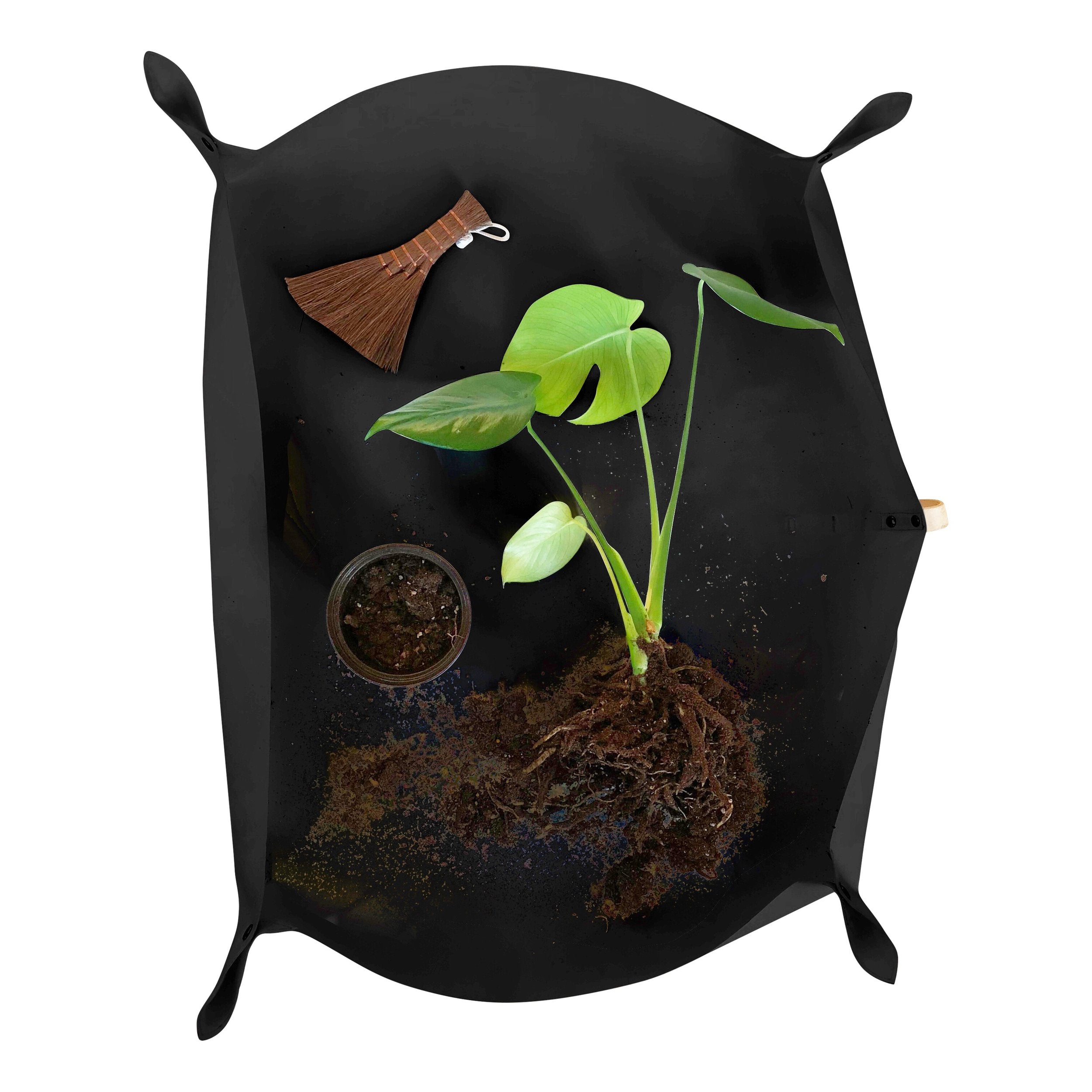 Black Indoor Garden Tarp Wild Atlantic Garden