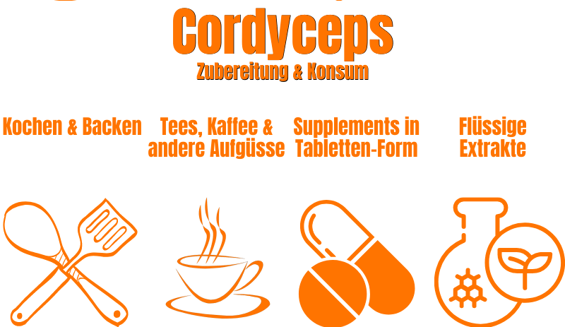 Cordyceps vitality mushroom preparation