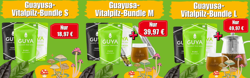 Cordyceps and Guayusa tea at GUYA buy
