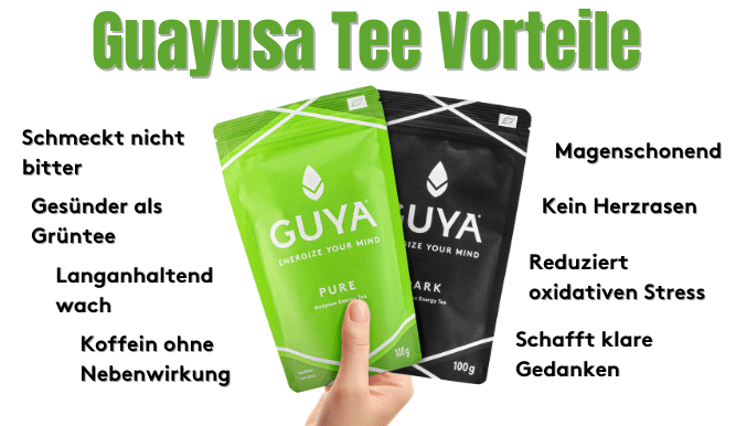 gesundheitliche Vorteile Guayusa Tee