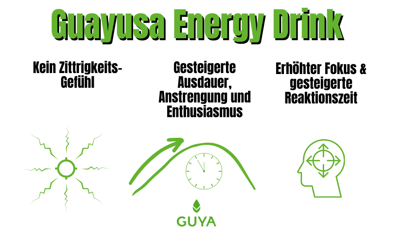 Guayusa Bester Gaming Energy Drink
