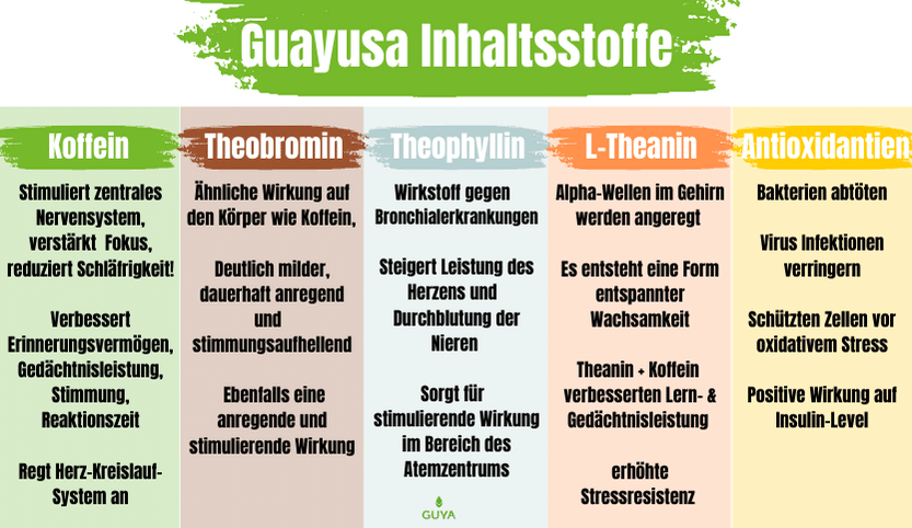 Guayusa Tea ingredients and effect overview