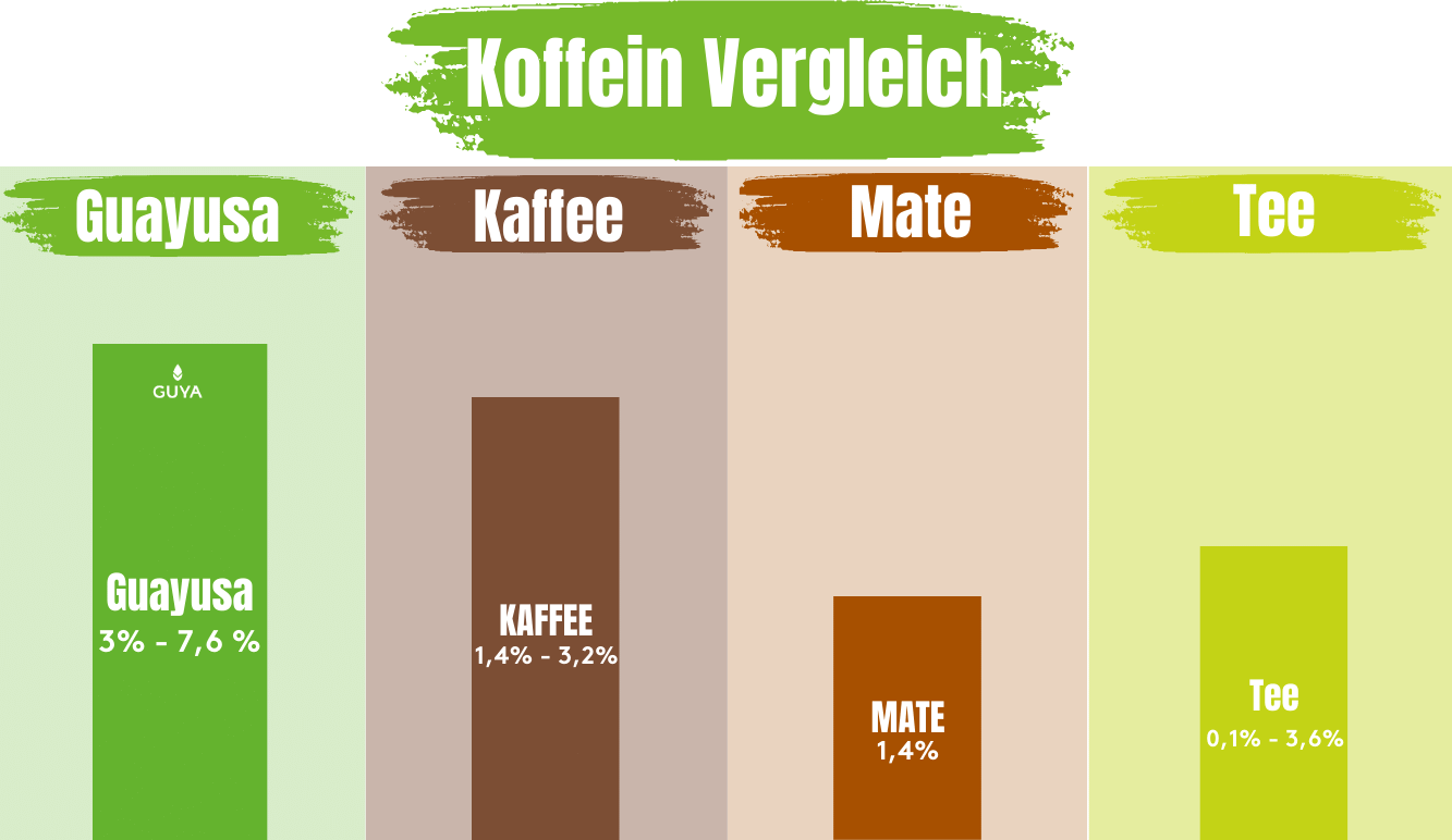 Mate tea caffeine content and Guayusa Tea caffeine content comparison - which tea has the most caffeine