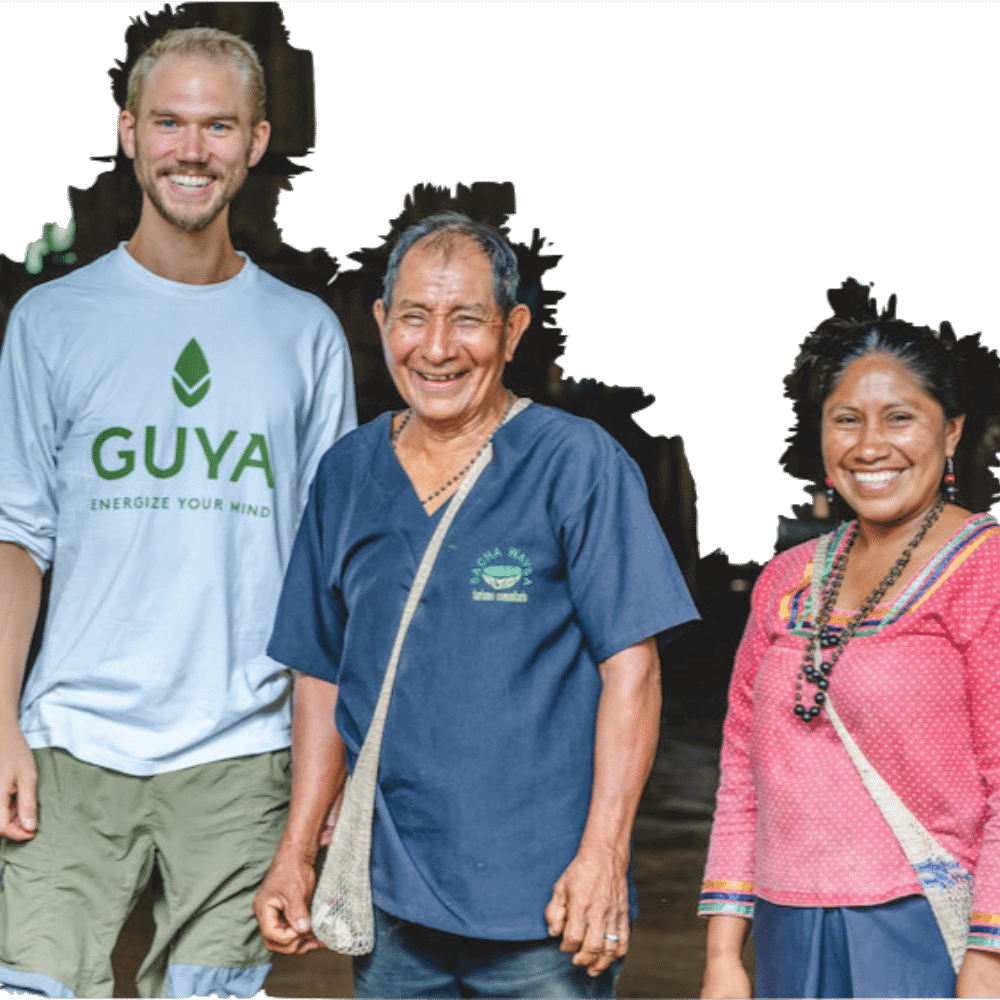 Guayusa aus Ecuador bio und fair trade
