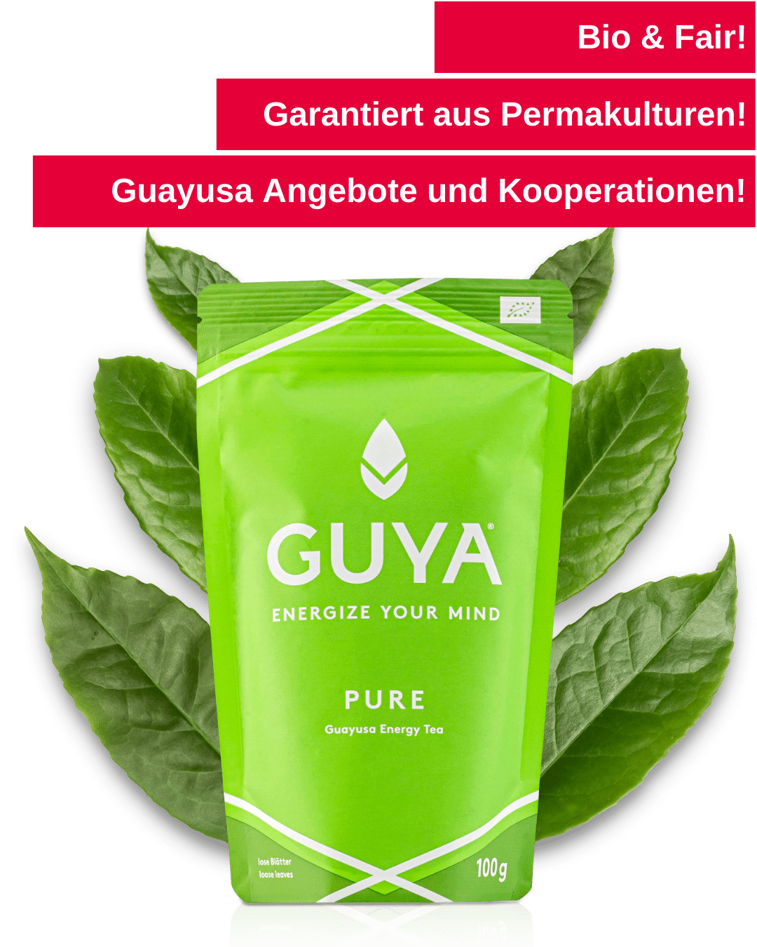 Guayusa günstig einkaufen Angebote und Kooperationen