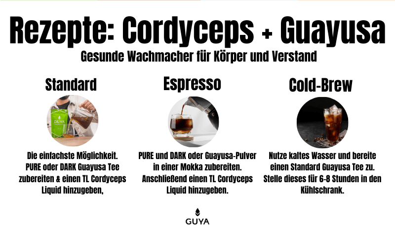 Guayusa Tee mit Cordyceps Rezepte Biohacking Gedächtnisleistung