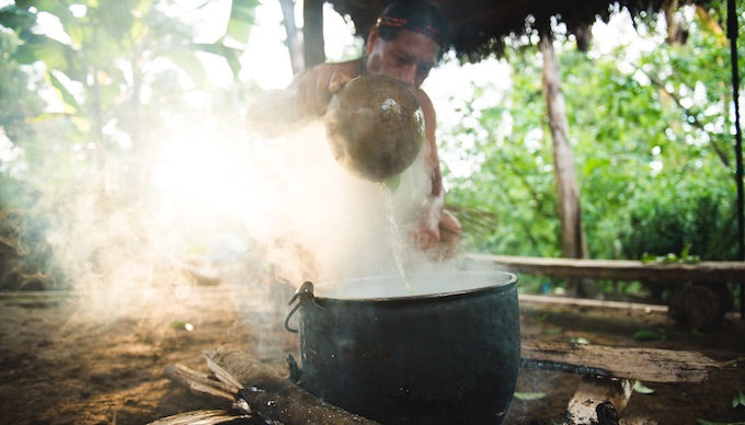 Guayusa Traditional tea preparation