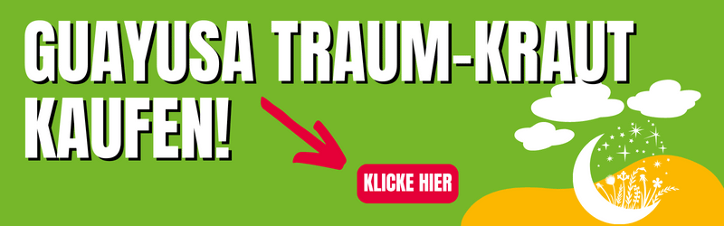 Guayusa Traumkraut kaufen