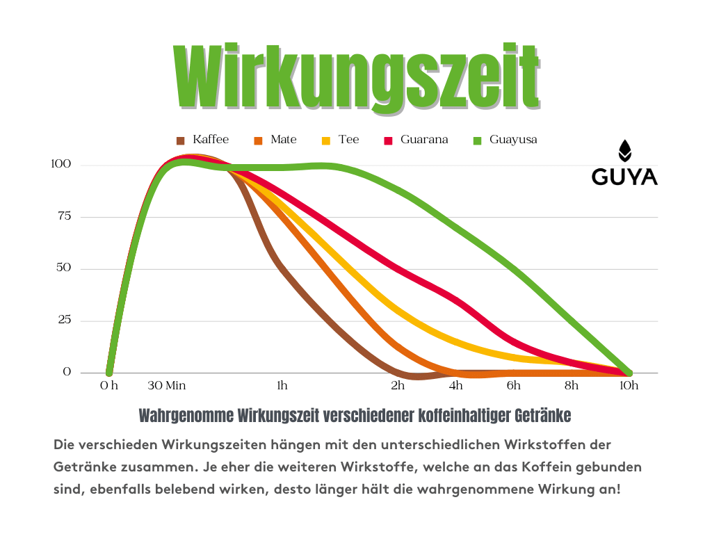 Guayusa Koffein Wirkungszeit Wirkungsdauer