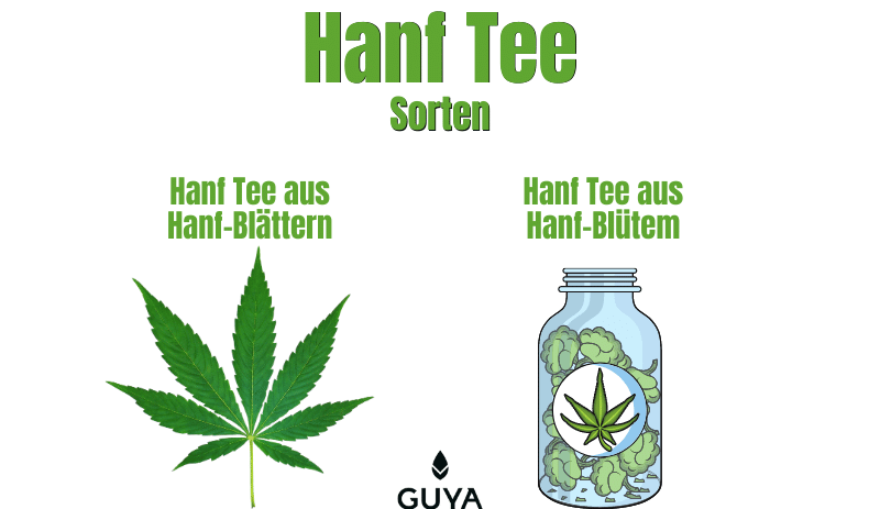 Hanf Tee Sorten Blätter und CBD Tee Blüten