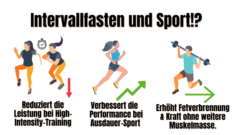 Intervallfasten Sport und Muskelaufbau Studien