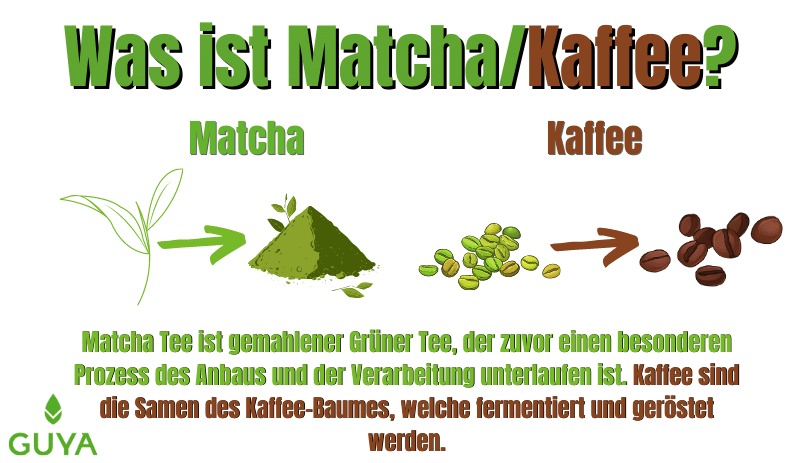 Matcha vs coffee