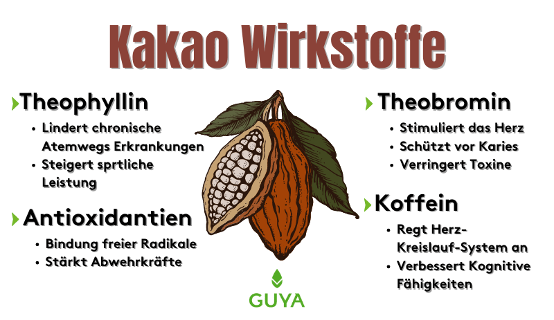 Kakao Wirkung