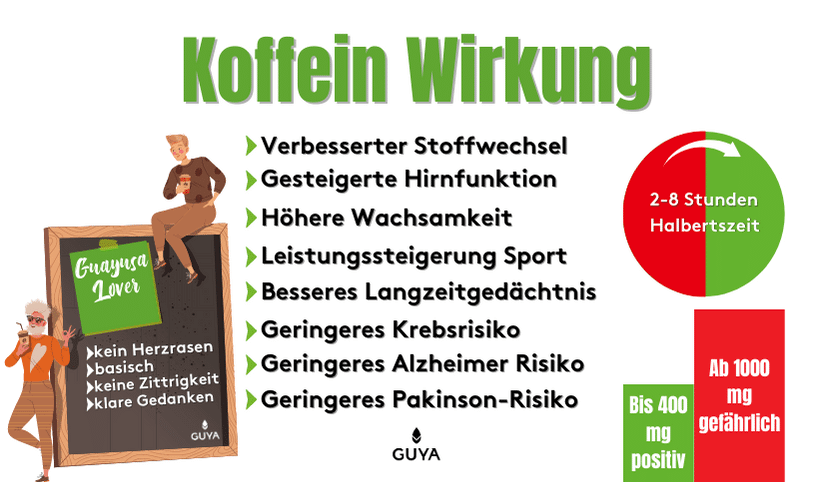 Koffein Wirkung 